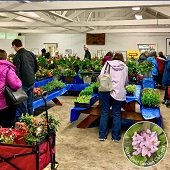 Plant sale inside Bennett Hall.