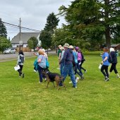 Meet Me on Wednesdays.