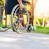 Person in a wheelchair approaches a trail.