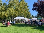 Crowd watching Bluegrass performance at Davis Park.