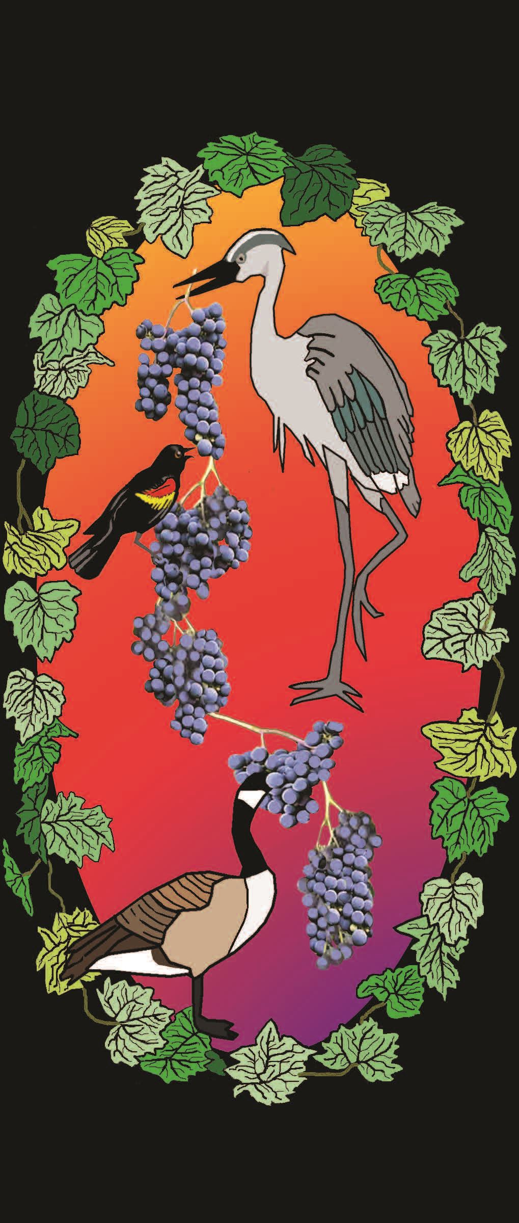 Digital artwork of an oval surrounded by grape leaves with birds eating grapes from a grapevine.