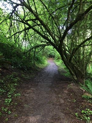 Abrams Park Loop Option 1