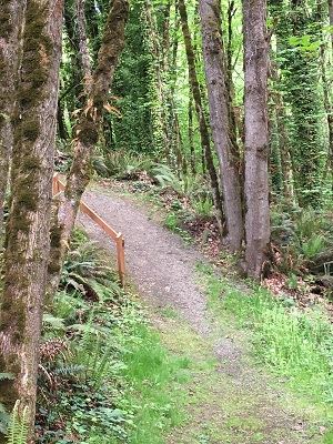 Canyon Ridge Trail 2