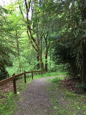 Canyon Ridge Sub Trail 1