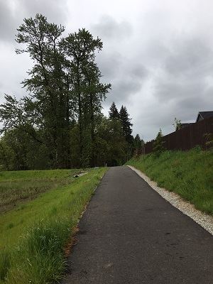 Clover Hill Sub Trail