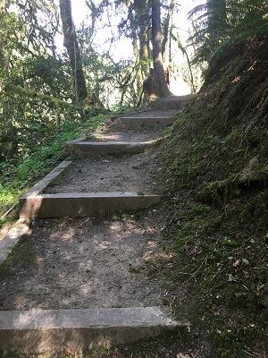 Osprey Point Cassini View Trail