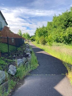 Pioneer Canyon Subdivision Marsh Park