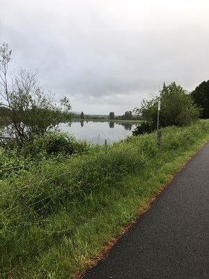 Port of Ridgefiled Carty Lake Trail