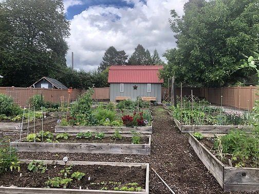Community Garden